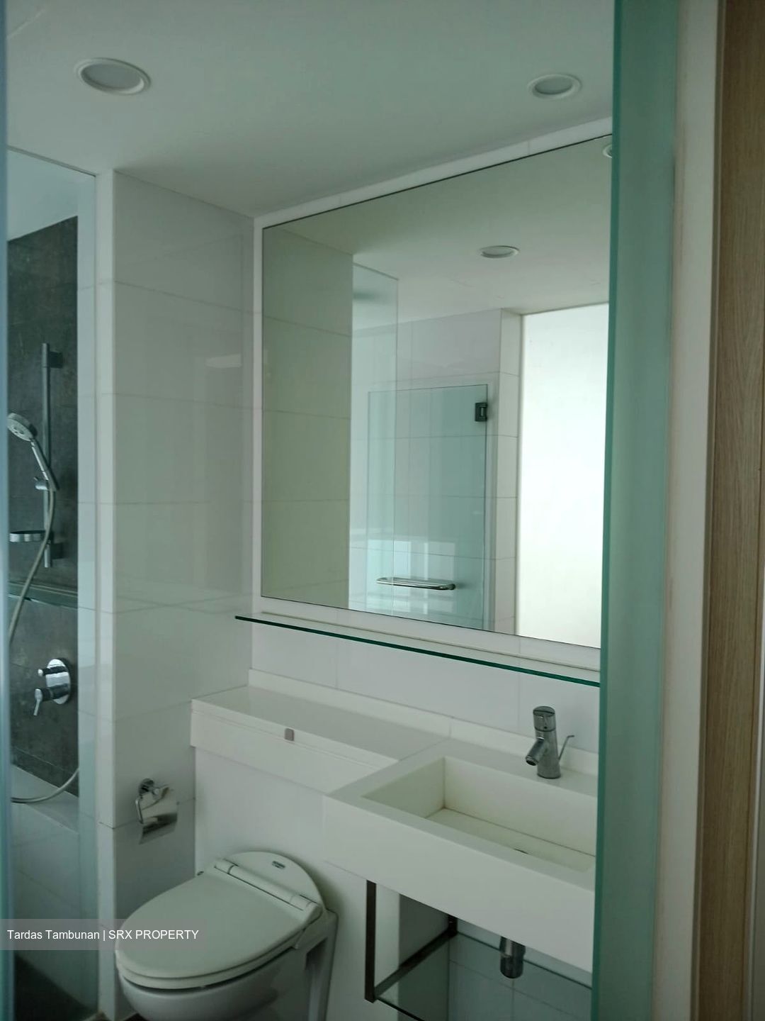 One Amber (D15), Condominium #487345891